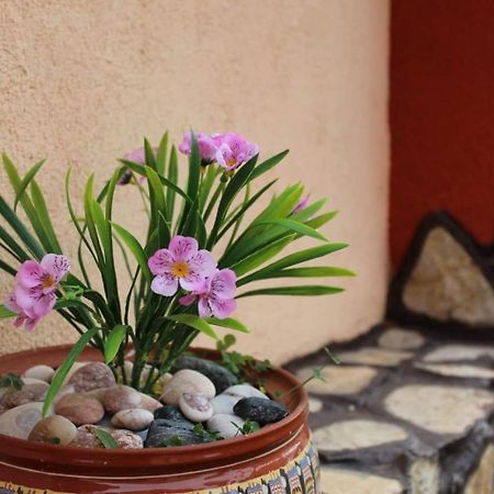Къщи За Гости Ореха ساموكوف المظهر الخارجي الصورة